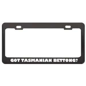 Got Tasmanian Bettong? Animals Pets Black Metal License Plate Frame 