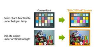  increases bright light suppression when encountering dynamic light 