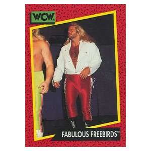  1991 WCW Impel Wrestling Trading Card #126  Fabulous 