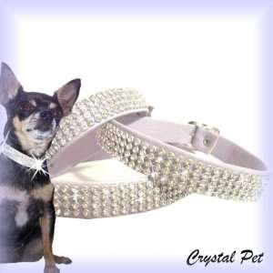   Nappa Rhinestone Dog Collar Chihuahua Hanmade in Italy: Pet Supplies