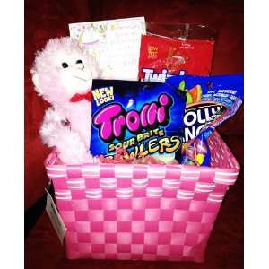 Pink Basket Teddy Bear Valentines Day Gift Basket   Perfect with 
