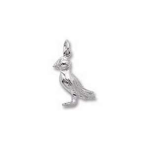 Puffin Bird Charm   Sterling Silver