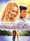 The Dust Factory (DVD, 2005)