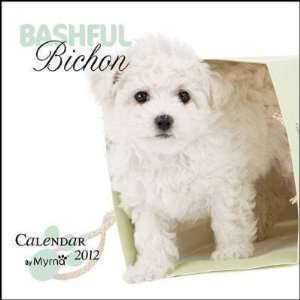  Bashful Bichon by Myrna 2012 Wall Calendar 12 X 12 