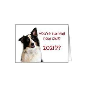  Dog Years, Birthday 102 Years Old Card: Toys & Games