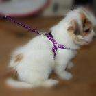   small dog pet leash $ 3 79 buy it now free shipping see suggestions