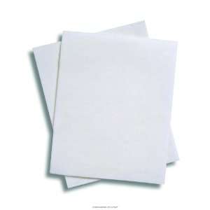   Wipe Hvy Wt Disp 10X13 in, (1 CASE, 1000 EACH): Health & Personal Care