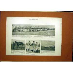 Port Elizabeth Strathcona Maxim Railway Boer Africa:  Home 