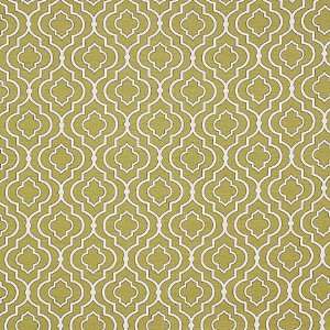  Patel Lime by Pinder Fabric Fabric: Home & Kitchen
