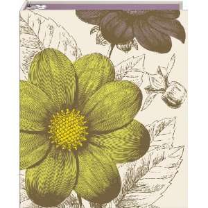  Thomas Paul Flower 3 Ring Binder, 10.25 x 12 Inches, 1 