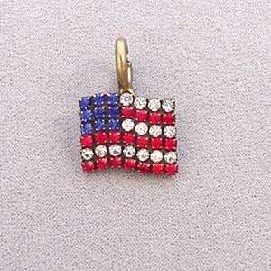  American Flag Pet Necklace Charm  Clasp SWIVEL CLASP 