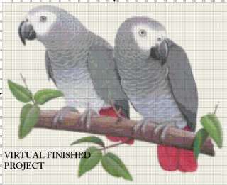 Congo African Greys 2 Cross Stitch Pat Parrots TBB  