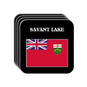  Ontario   SAVANT LAKE Set of 4 Mini Mousepad Coasters 