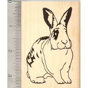  Spotted Domestic House Rabbit Rubber Stamp, Large: Arts 