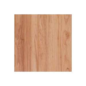  Armstrong Natures Gallery Locking Laminate American Duet 