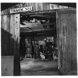   ,coal miners,loafing in Andrews workshop,dog,1942: Home & Kitchen