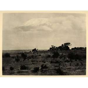  1930 Mount Kilimanjaro Tanzania Africa Photogravure 