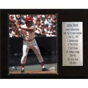   Reds Johnny Bench 12x15 Career Stats Plaque: Sports & Outdoors