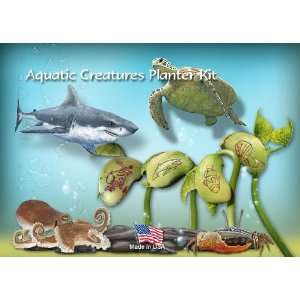   Magic Bean Wishes mbw  03k Aquatic Creature Planter Kit Toys & Games