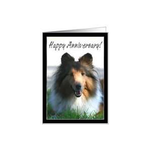 Happy Anniversary Shetland Sheepdog Card Health 