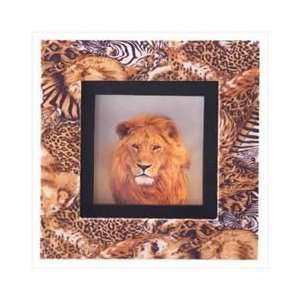  Lion Shadow Box Frame Plaque: Home & Kitchen