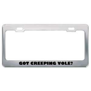  Got Creeping Vole? Animals Pets Metal License Plate Frame 