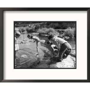  Group of Children Fishing with Nets in a Country Stream 