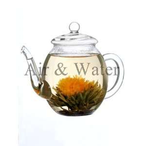  Creano 9061 Abloom Organic Tea and Teapot Gift Set 