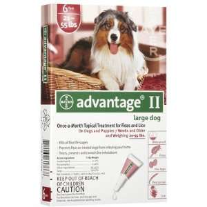  Advantage II Topical Solution   Large   6 months (Quantity 