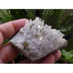   Gemqz Pyrite Cubes & Quartz Crystal Cluster Wow  