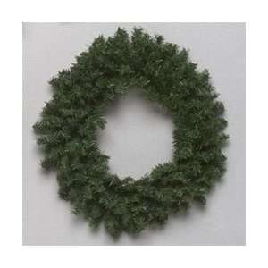 12 Mini Pine Wreath 140 Tips: Arts, Crafts & Sewing