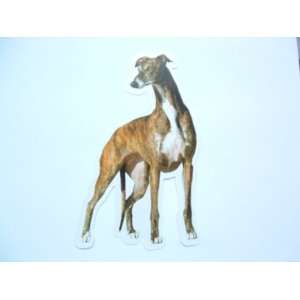  Greyhound Reusable Double Sided Window Sticker: Home 