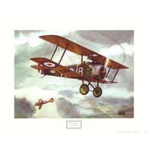   Sopwith Camel, 1917   Poster by Alfred Owles (20x16)