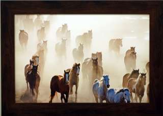 Time To Rodeo by David Stoecklein Framed Print  