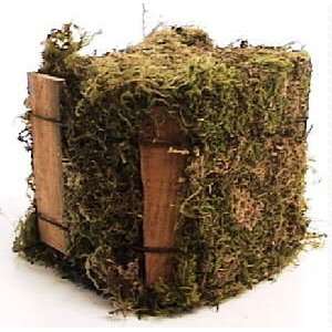  Green Moss   Mini Bale