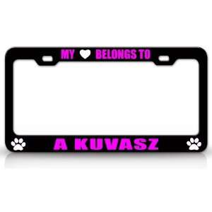 MY HEART BELONGS TO A KUVASZ Dog Pet Steel Metal Auto License Plate 
