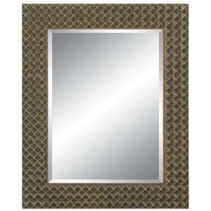Imagination Mirrors IW93482 DGS Richly Embossed Wall Mirror in Dark 