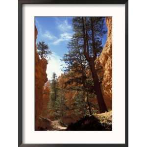  Wall Street, Navajo Loop Trail, Bryce Canyon National Park 