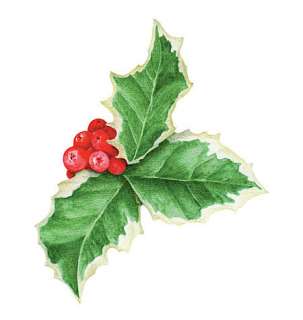 Holly Clusters 25 Leaf Berries Decals Stickers Wallies Berry Christmas 