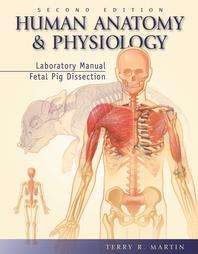 Human Anatomy and Physiology Laboratory Manual Fetal Pig Dissection by 