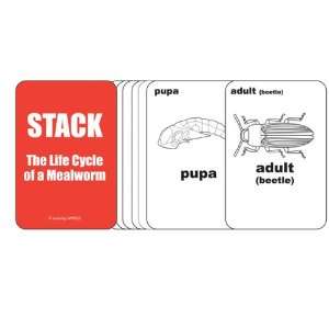 Stack the Life Cycle of a Mealworm (Grades K and Up 