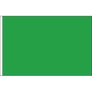  Solid Color 2ft x 3ft Nylon Flag   Irish Green Patio 