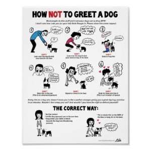  How Not To Greet A Dog (11 x 14 , version 2) Posters