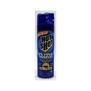  2 Pack Special Hot Shot Flying Insect 15oz [Health and 