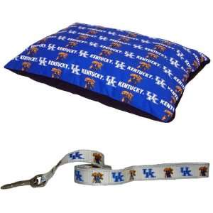  Kentucky Wildcats Pillow Bed & Dog Lead: Pet Supplies