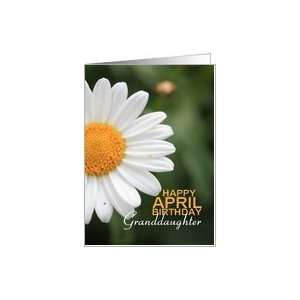   April Birthday   Daisy April Birth Month Flower Card: Toys & Games
