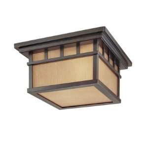  Outdoor Flushmount Ceiling Light Fixture: Home & Kitchen