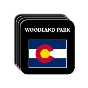  US State Flag   WOODLAND PARK, Colorado (CO) Set of 4 Mini 