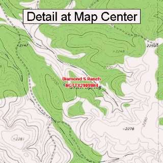  USGS Topographic Quadrangle Map   Diamond S Ranch, Texas 