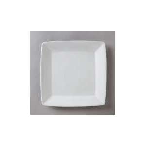 Vertex China Signature Square Plate 9 in ARGS8P:  Kitchen 